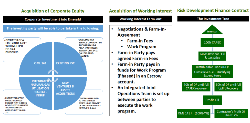 Investment Opportunities Emerald Energy